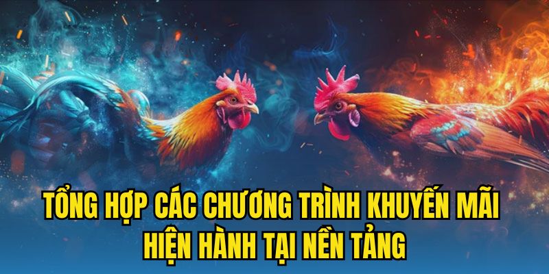 Tổng hợp các chương trình khuyến mãi hiện hành tại nền tảng