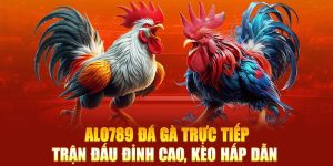 alo789 đá gà trực tiếp đỉnh cao cùng nhà cái uy tín