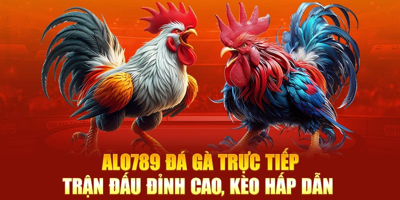 alo789 đá gà trực tiếp đỉnh cao cùng nhà cái uy tín