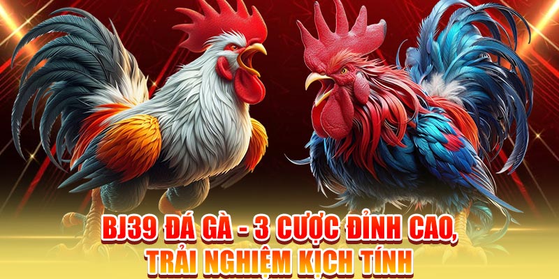 bj39-da-ga-3-cuoc-dinh-cao-trai-nghiem-kich-tinh