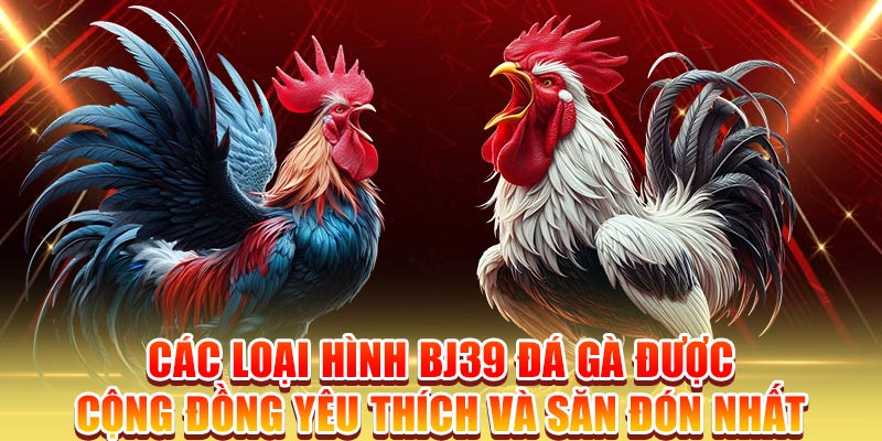 Các loại hình BJ39 đá gà được cộng đồng yêu thích và săn đón nhất