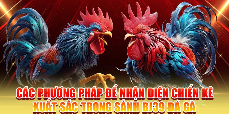 Các phương pháp để nhận diện chiến kê xuất sắc trong sảnh BJ39 đá gà
