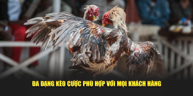 Đa dạng kèo cược phù hợp với mọi khách hàng