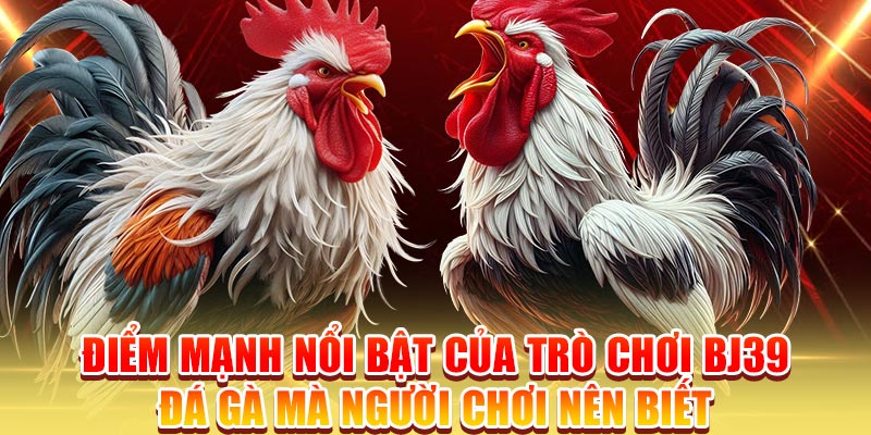 Điểm mạnh nổi bật của trò chơi BJ39 đá gà mà người chơi nên biết