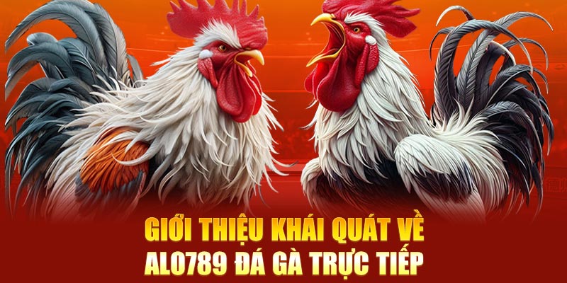 Giới thiệu khái quát về nhà cái ALO789 đá gà trực tiếp