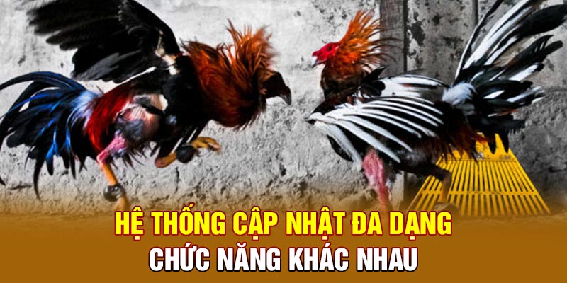 Hệ thống cập nhật đa dạng chức năng khác nhau 