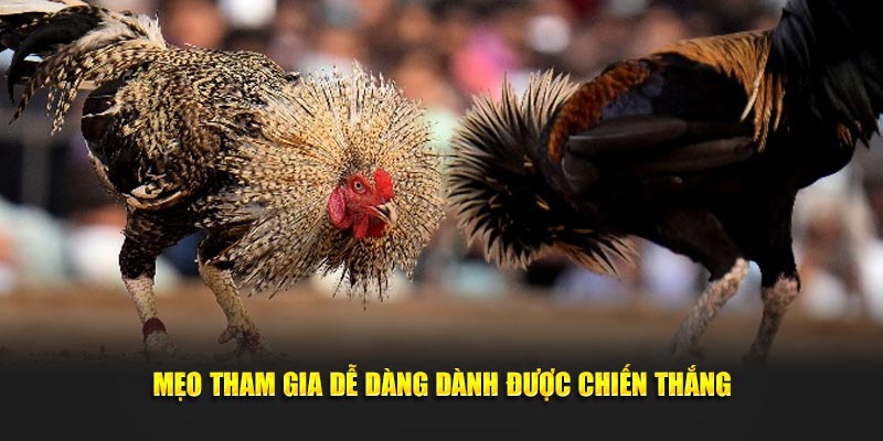 Mẹo tham gia dễ dàng dành được chiến thắng