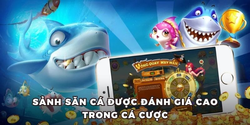 Sảnh săn cá được đánh giá cao trong cá cược