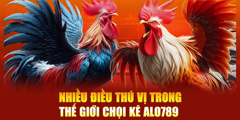 Nhiều điều thú vị trong thế giới chọi kê ALO789 