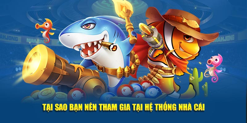 Tại sao bạn nên tham gia tại hệ thống nhà cái