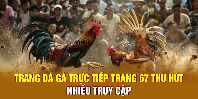 Trang đá gà trực tiếp trang 67 thu hút nhiều truy cập 